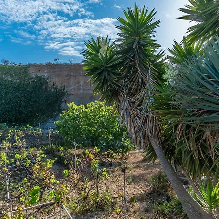 Live Las Cuevas Villa Granadilla De Abona